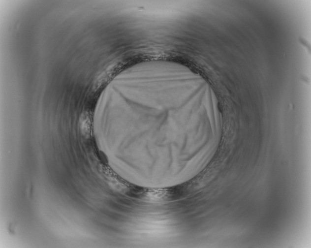 X0000102500720200808291711