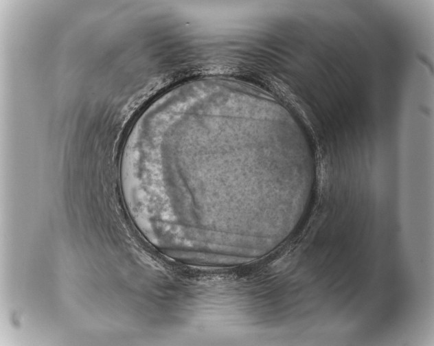 X0000102500721200808291711