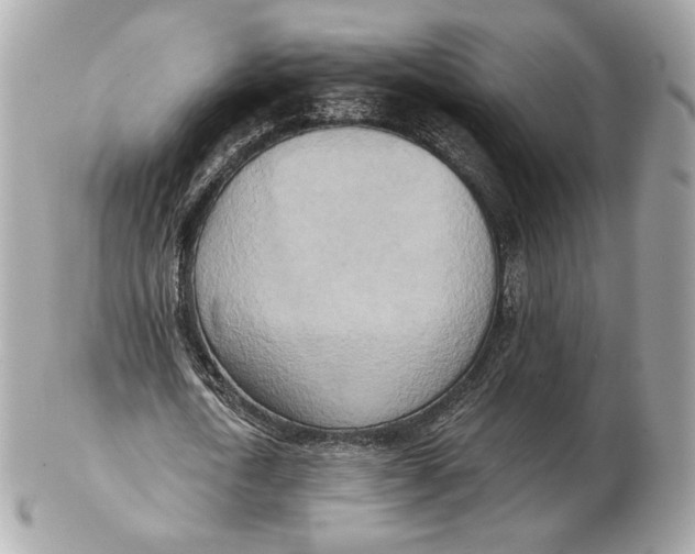 X0000102500722200808291711