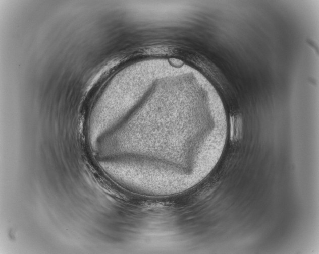 X0000102500723200808291711