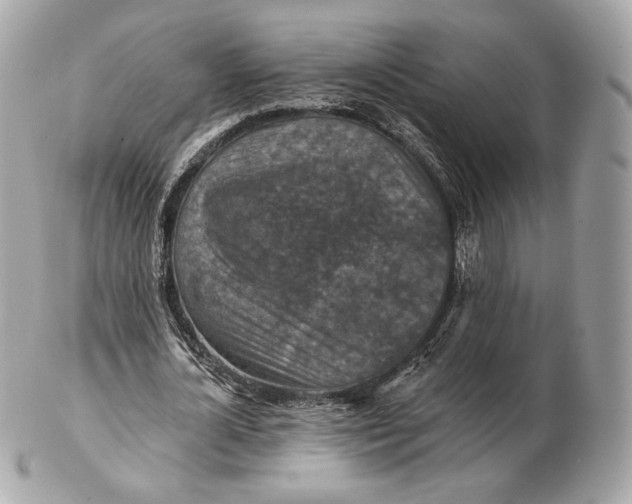 X0000102500724200808291711