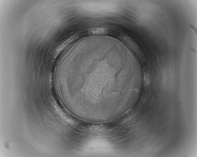 X0000102500725200808291711