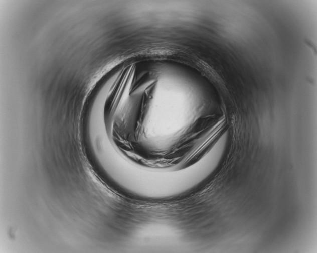 X0000102500726200808291711