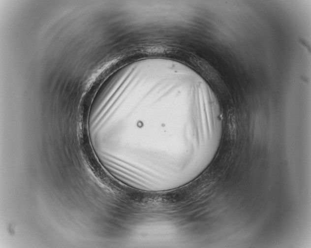 X0000102500728200808291711