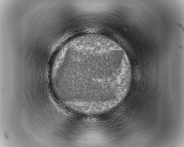 X0000102500730200808291711