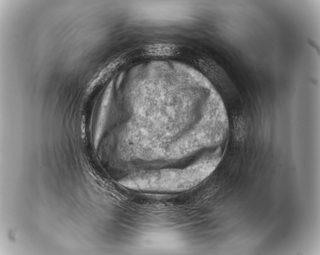 X0000102500731200808291711