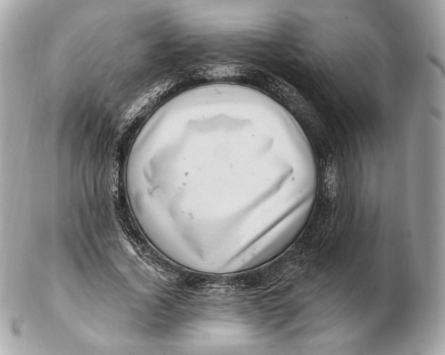 X0000102500732200808291711