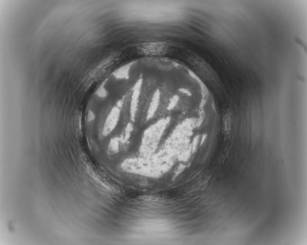 X0000102500733200808291711