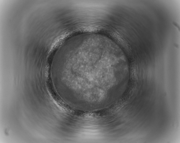 X0000102500736200808291711