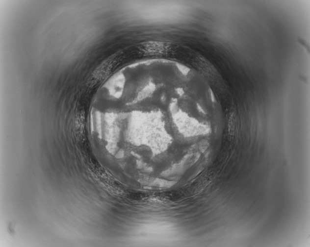 X0000102500737200808291711