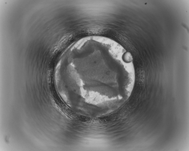 X0000102500738200808291711