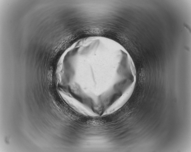 X0000102500739200808291711