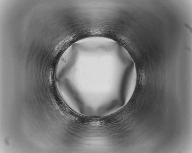 X0000102500740200808291711