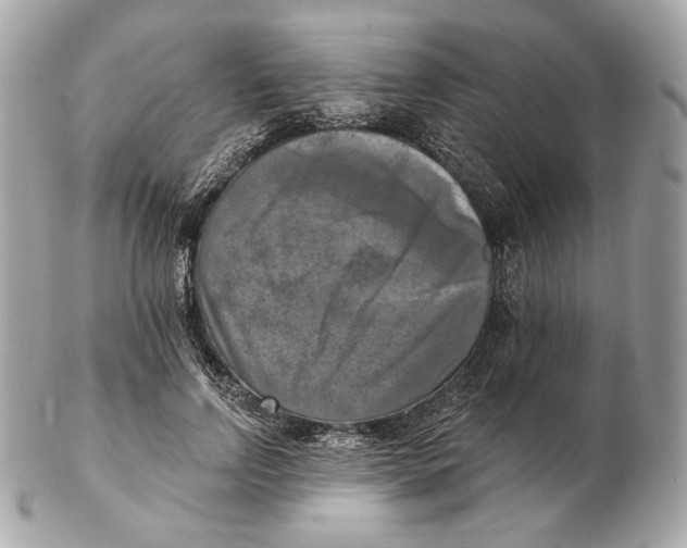 X0000102500742200808291711