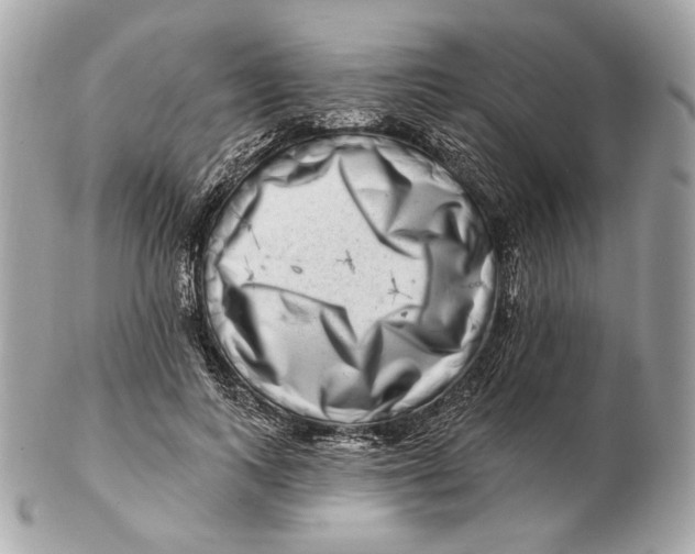 X0000102500743200808291711