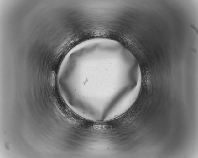 X0000102500744200808291711