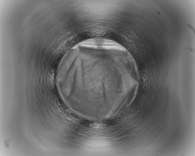 X0000102500745200808291711