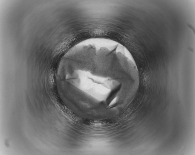 X0000102500746200808291711