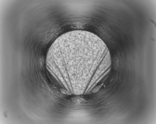 X0000102500747200808291711