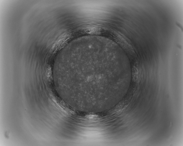 X0000102500748200808291711