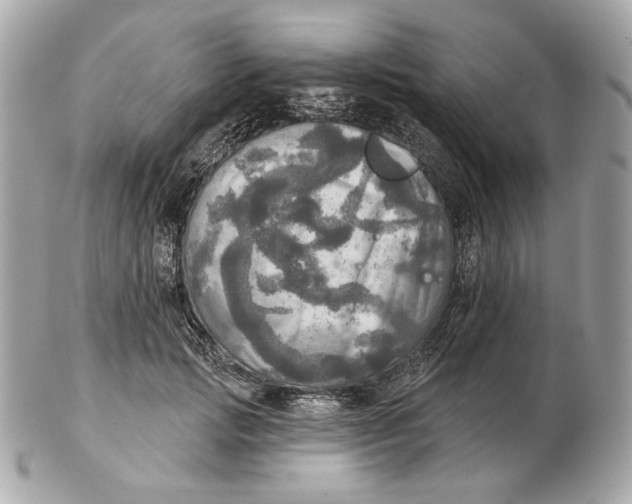 X0000102500749200808291711