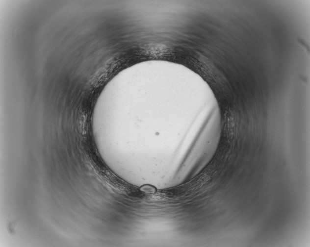 X0000102500750200808291711