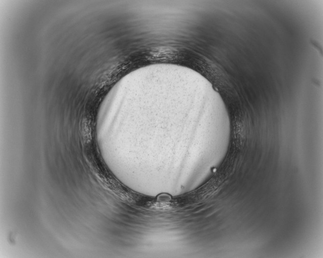 X0000102500751200808291711