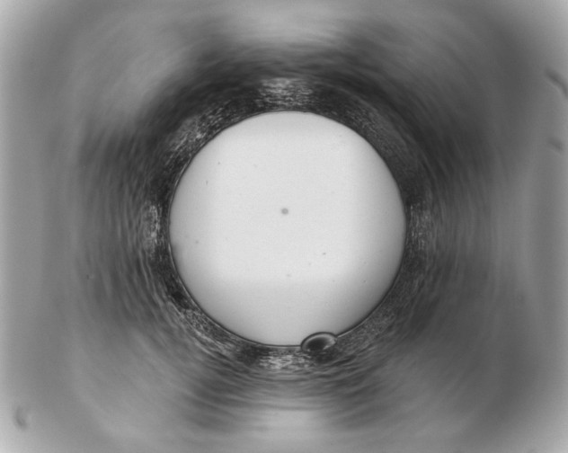 X0000102500752200808291711