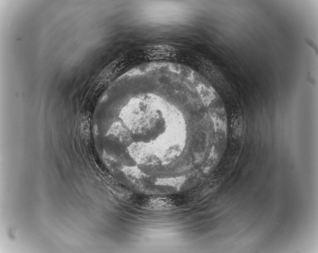 X0000102500753200808291711