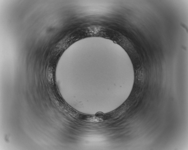 X0000102500754200808291711