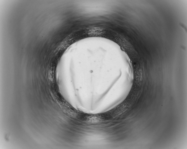 X0000102500755200808291711