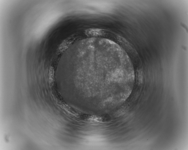 X0000102500760200808291711