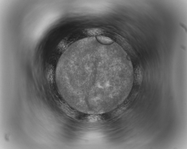 X0000102500762200808291711