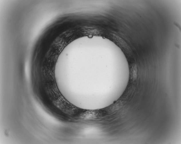 X0000102500764200808291711