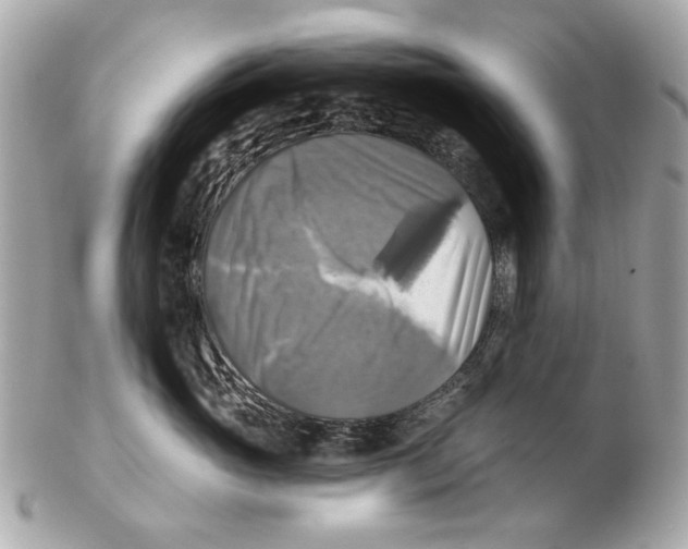 X0000102500765200808291711