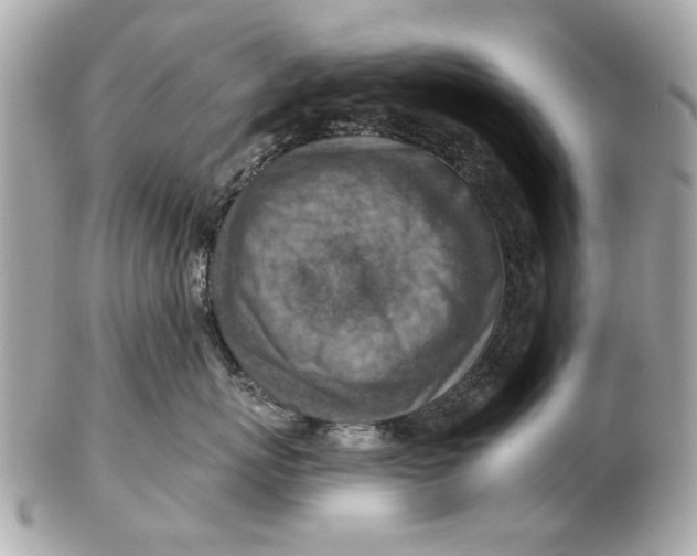 X0000102500767200808291711