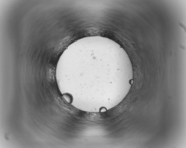 X0000102500768200808291711