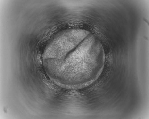 X0000102500770200808291710