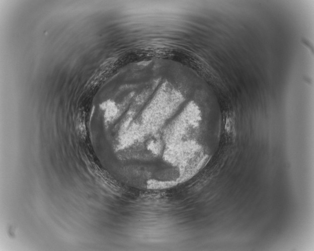 X0000102500771200808291710