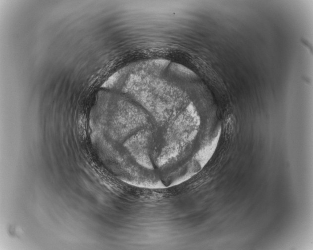 X0000102500772200808291710