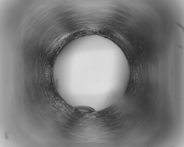 X0000102500773200808291710