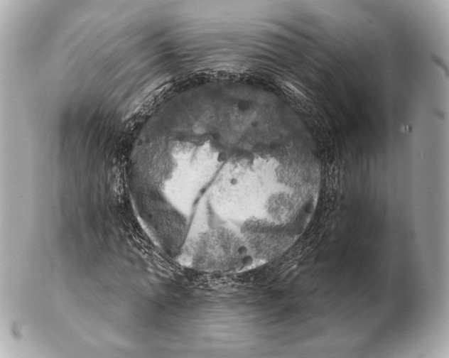 X0000102500774200808291710