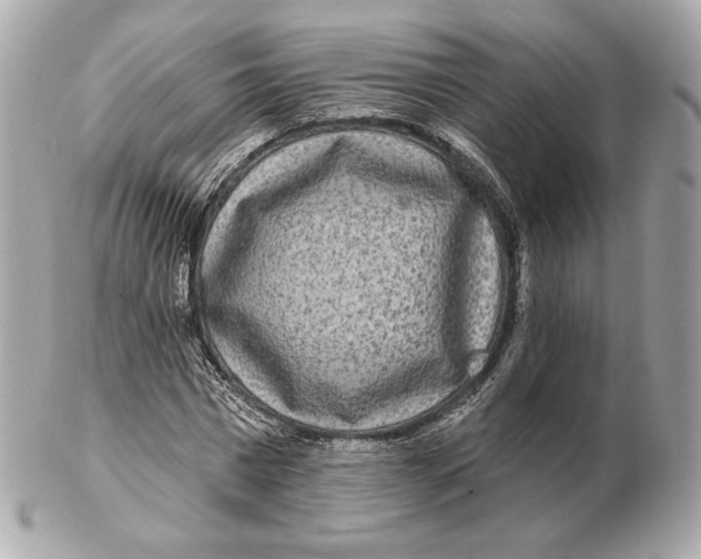 X0000102500777200808291710