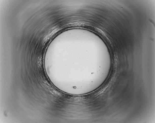 X0000102500778200808291710