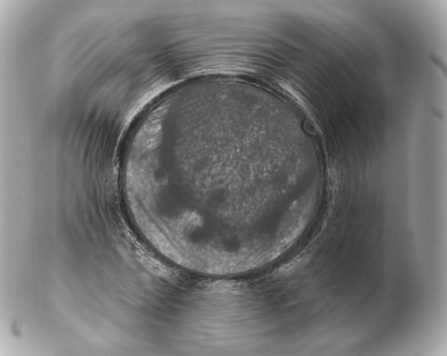 X0000102500779200808291710