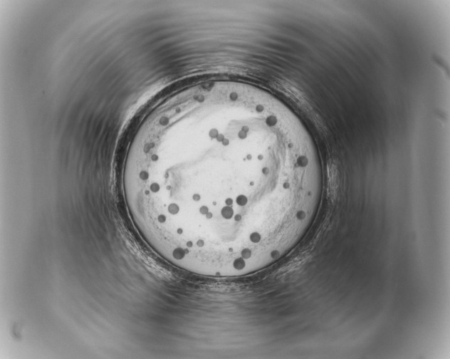 X0000102500780200808291710