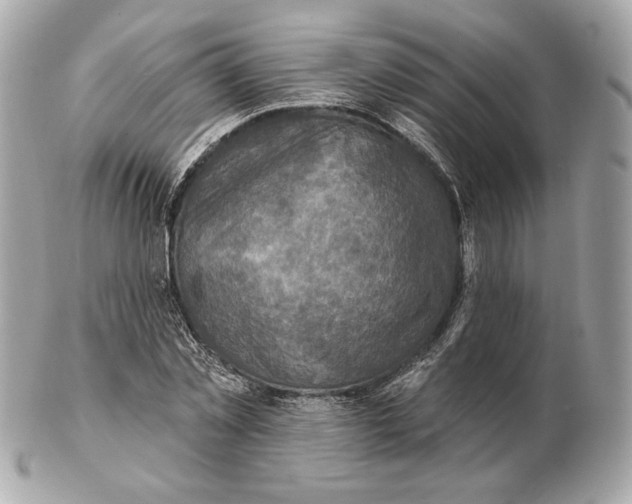 X0000102500781200808291710