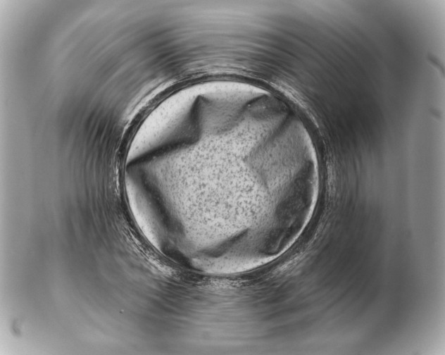 X0000102500782200808291710