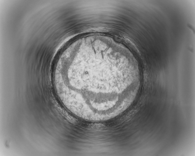 X0000102500784200808291710