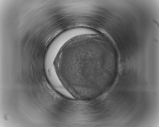 X0000102500785200808291710